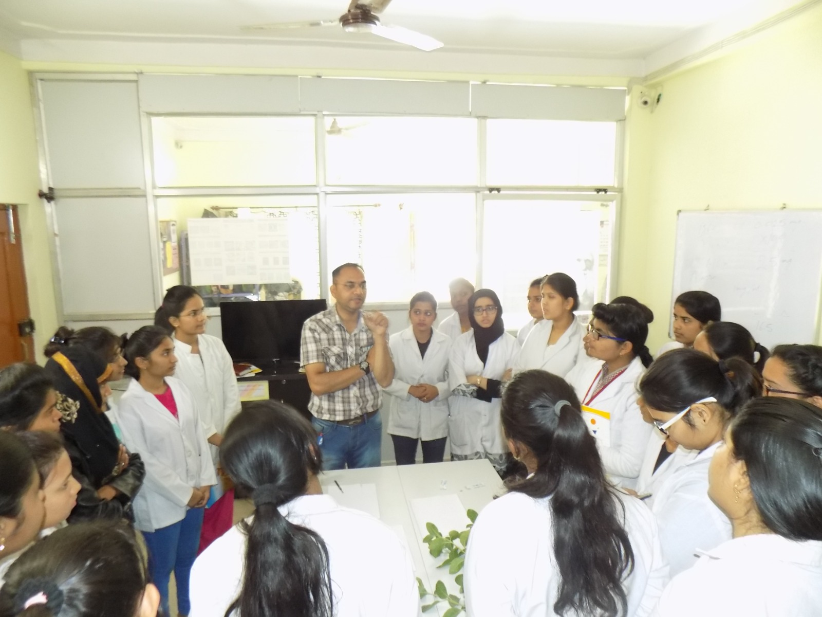Bioactivity Validation